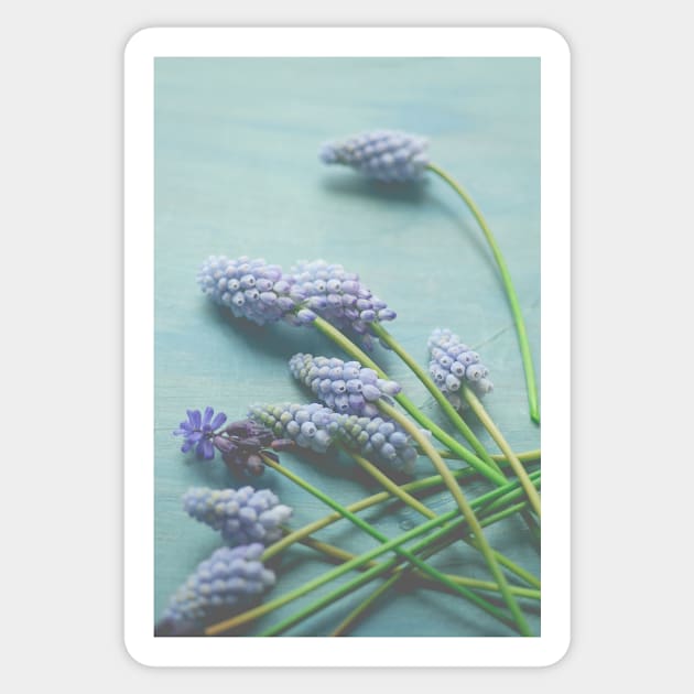 Little Blue Flowers Sticker by oliviastclaire